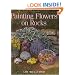 Painting Flowers on Rocks
