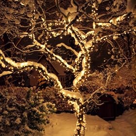 Outdoor Christmas Lights, 114 Traditional Bulbs with Warm Glow,