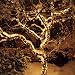 Outdoor Christmas Lights, 114 Traditional Bulbs with Warm Glow,