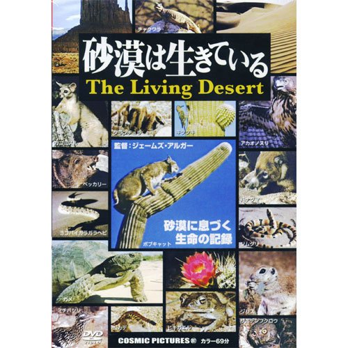 砂漠は生きている CCP-897 [DVD]