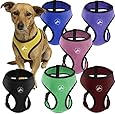 Oxgord Pet Control Harness for Dog & Cat Easy Soft Walking Collar, Large, Black
