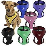 Oxgord Pet Control Harness for Dog & Cat Easy Soft Walking Collar, Small, Black