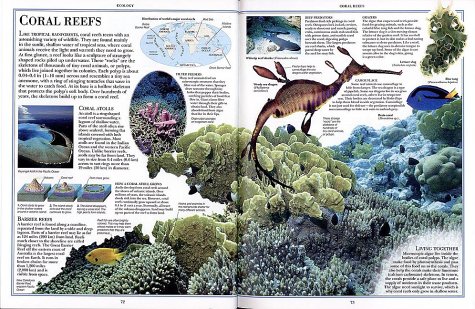 DK Nature Encyclopedia [Hardcover]