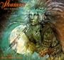 Shaman Calendar: 2001