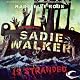 Sadie Walker Is Stranded: A Zombie Novel