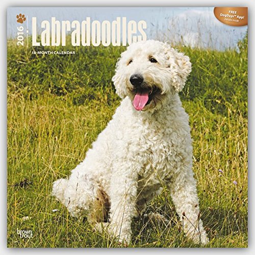 Labradoodles 2016 Square 12x12 (Multilingual Edition)