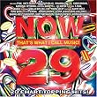 NOW That's What I Call Music 29