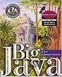 Big Java: International Edition