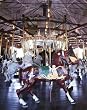 Menagerie of Carousel Animals, Burlington, North Carolina - 16x20-inch - Fine-Art-Quality Photographic Print by Carol M. Highsmith