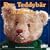 Der Teddyb�r Kalender 2010. Brosch�renkalender: B�ren sind doch besseren Menschen