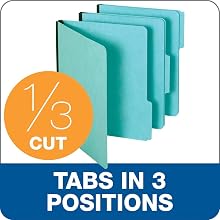 Globe-Weis Pressboard File Folder, 1 Inch Expansion, 1/3 Tabs, Letter Size, 25-Pack, Blue (615 1-3 BLU)
