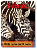 Zebras! Learn About Zebras and Enjoy Colorful Pictures - Look and Learn! (50+ Photos of Zebras)