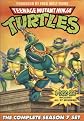 Teenage Mutant Ninja Turtles: The Complete Season 7 Set (4 Discs)
