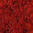 Spice Blend For Fish - Morocco By ChefShop.com