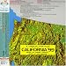 カリフォルニア’99(紙ジャケット仕様)