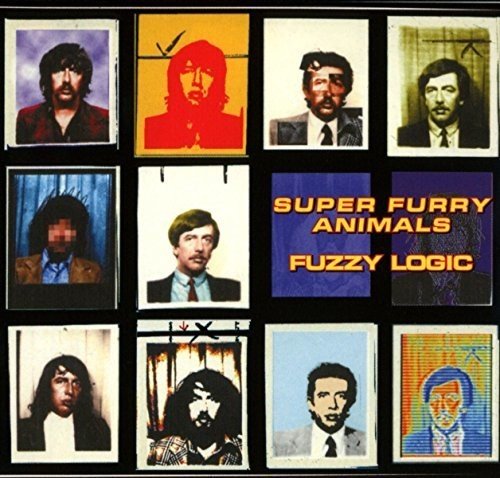 Fuzzy Logic: 20th Anniversary Deluxe Edition