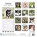Chihuahua Calendar - Only Dog Breed Chihuahua Calendar - 2016 Wall calendars - Dog Calendars - Monthly Wall Calendar by Avonside