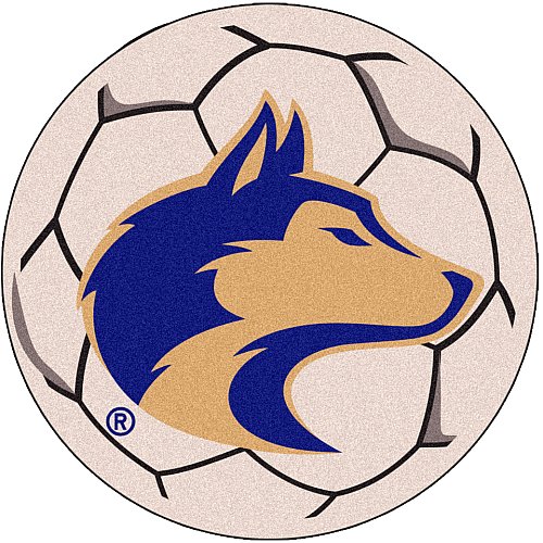 Fanmats Washington Huskies Soccer Ball-Shaped Mats reviews