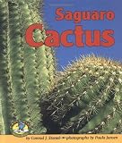 Saguaro Cactus (Early Bird Nature)