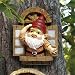 The Knothole Gnomes Garden Welcome Tree Sculpture: Window Gnome