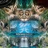  A Blueprint For Survival (Disc 2)