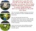 Search : The Quick and Easy How To Earn Extra Money, Marketing and Success Principles for Poems On-line Businesses 3 CD Pack