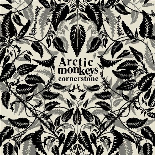 Arctic Monkeys Photo 6