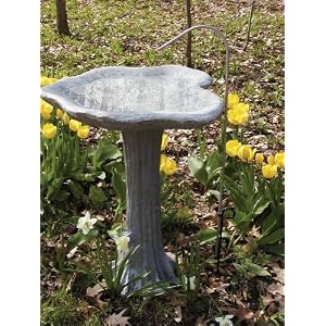 Bird's Choice Stainless Steel Pedestal Dripper by 