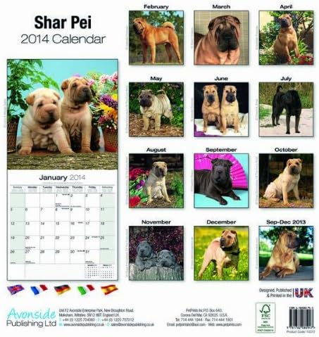 Shar Pei 2014 Wall Calendar