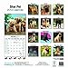 Shar Pei 2014 Wall Calendar