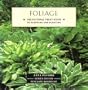 Fruit & vegetable gardens: The National Trust guide to the productive garden (National Trust Gardening Guides)
