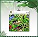 Tree Frogs Fabric 2yds 54 in Wide 100% COTTON Sewing Material For Quilt Apparel or Projects 100% COTTON Sewing Material For Quilt Apparel or Projects- Top Rated Quality 22% more FABRIC than 44 in width