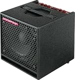 Ibanez P5110 Promethean Bassverst&auml;rker 1 x 25,4 cm (10 Zoll) Combo