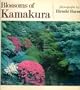 Blossoms of Kamakura/Japanese/English