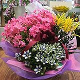 秋の寄せ鉢ギフト　豪華でボリュームたっぷり