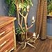 Read Elk Antler Standing 4 Light Candelabra Floor Lamp Details Elk Antler Standing 4 Light Candelabra Floor Lamp