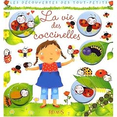 La vie des coccinelles