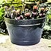 Hillcrest Pebbled Beverage Bucket Color: Black