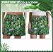 Tree Frogs Boxers Med Frog 100% Cotton Boxer Shorts for HIM or HER- SEARCH BROAD BAY BOXERS FOR MORE DESIGNS Unique GIFT Ideas Man Men Boyfriend Woman Women Ladies Mother Dad Mom CUTE!