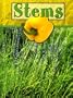 Stems (Plant Parts)