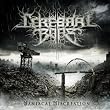 Cerebral Bore