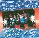 Live Hits-Collection - the Beach Boys