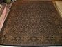 Handmade Pakistani Gulshan Rug 12'x15'3"