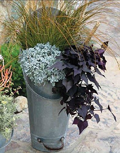 Coal Bucket Rustic Garden Planter - Set of 3