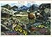 Alpine Tundra Pane 10 x 41 cent US postage Stamps NEW Mint
