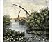 Photographic Prints of Nile River papyrus thickets from North Wind