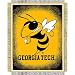 Georgia Tech Yellowjackets NCAA Triple Woven Jacquard Throw (019 Focus) (48x60")"