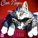 Cat Naps 2010 Wall Calendar (Calendar)