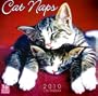 Cat Naps 2010 Wall Calendar (Calendar)