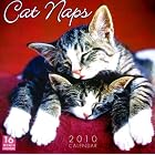 Cat Naps 2010 Wall Calendar (Calendar) by Sellers Publishing Inc